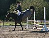 IMG_1133.JPG