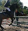 IMG_1284.JPG