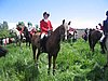 IMG_0038.JPG