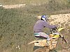 IMG_8436.JPG