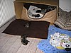 IMG_3643.JPG