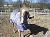 IMG_7045.JPG