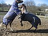 IMG_7049.JPG