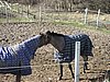 IMG_7062.JPG