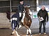 IMG_7063.JPG